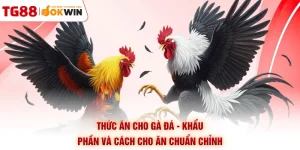 Thức Ăn Cho Gà Đá - Khẩu Phần Và Cách Cho Ăn Chuẩn Chỉnh
